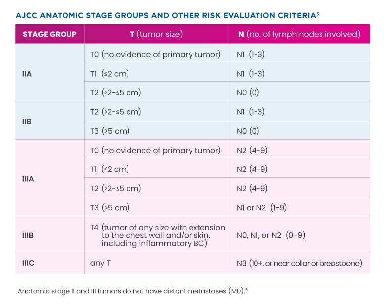 Table showing AJCC anatomic stage groups and other risk evaluation criteria.